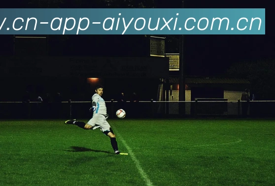 爱游戏官网全站App